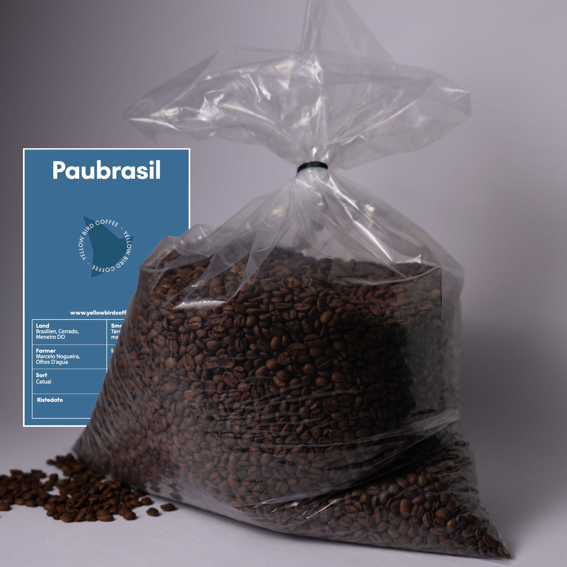 variant_477242413878422